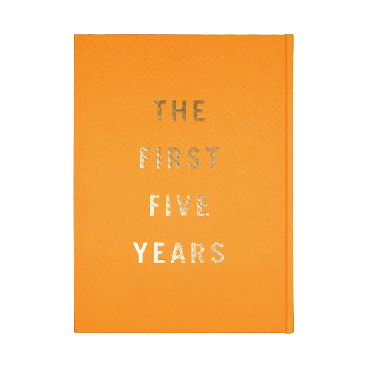 Back cover – Floyd book The First 5 Years